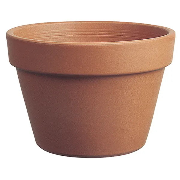 Italian Azalea Pot, Terra Cotta