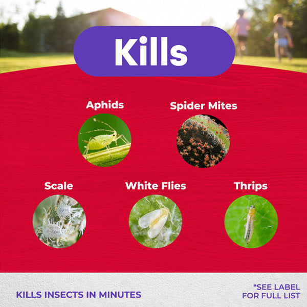 Bonide Insecticidal Soap