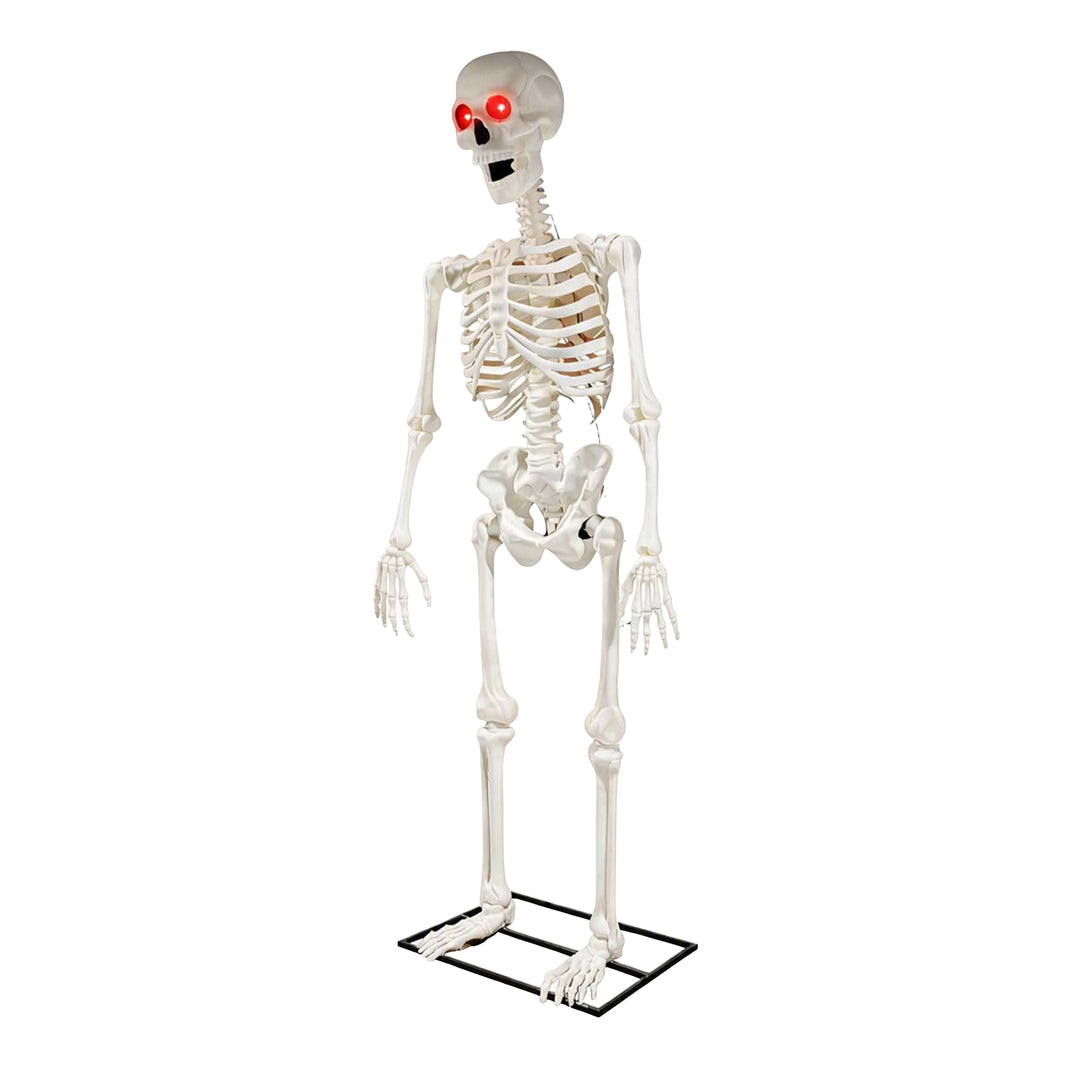 Halloween Skeleton with Blinking Eyes and Sound