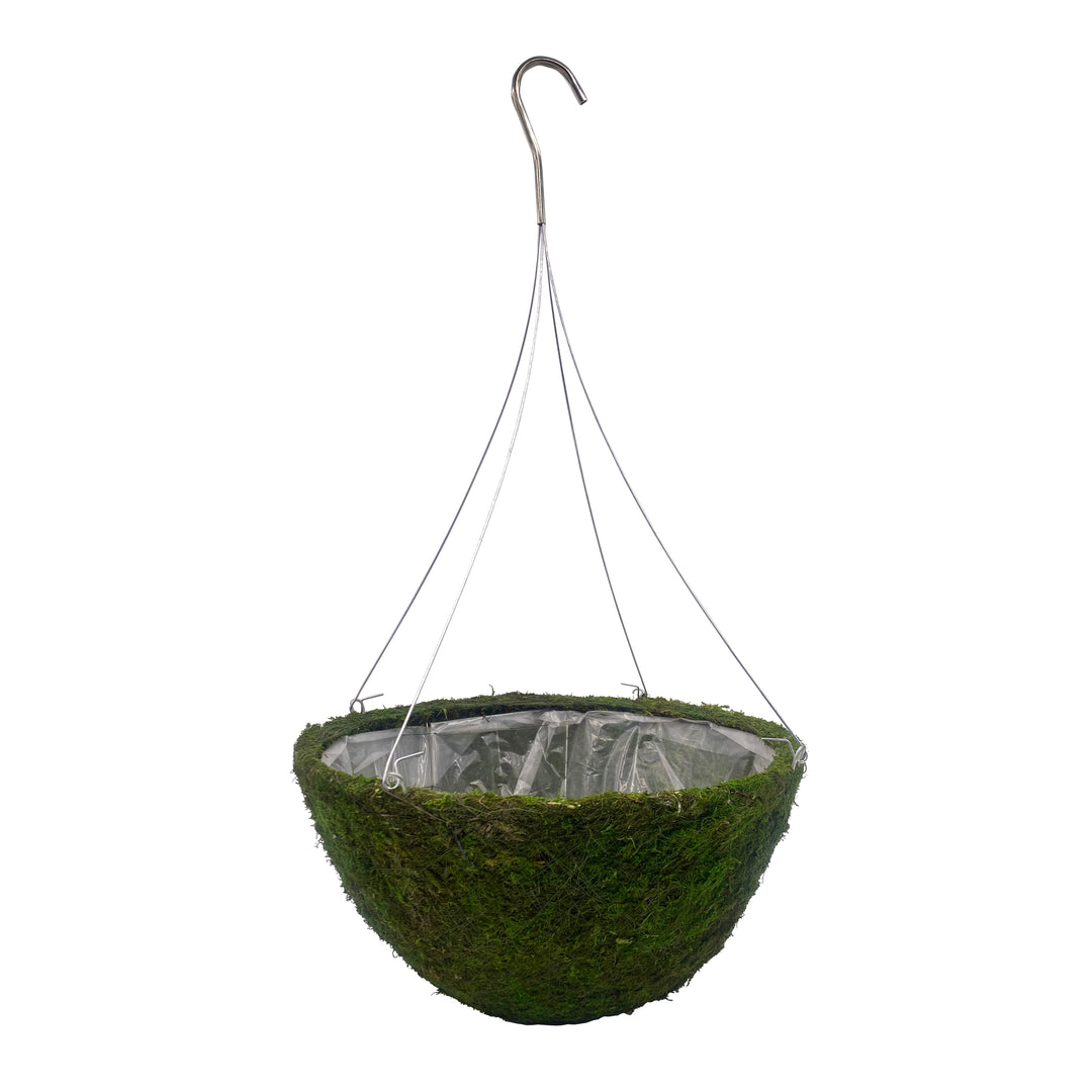 hanging moss basket planter Moss Hanging Basket Planter