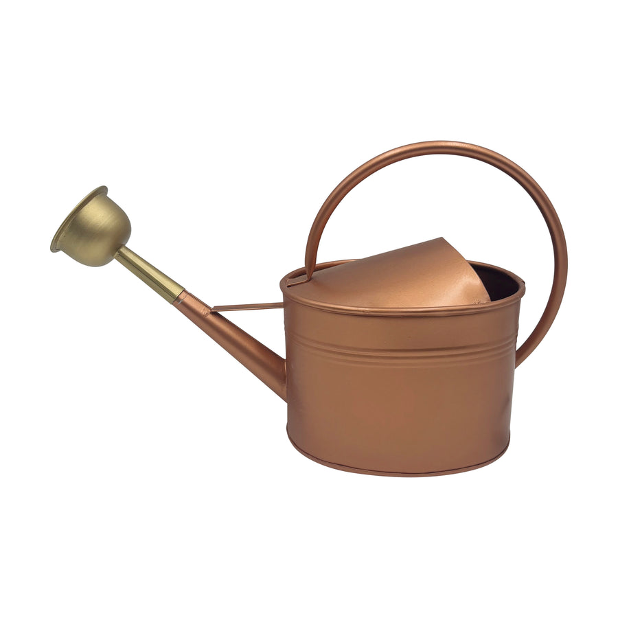 Watering Can Bronze Finish