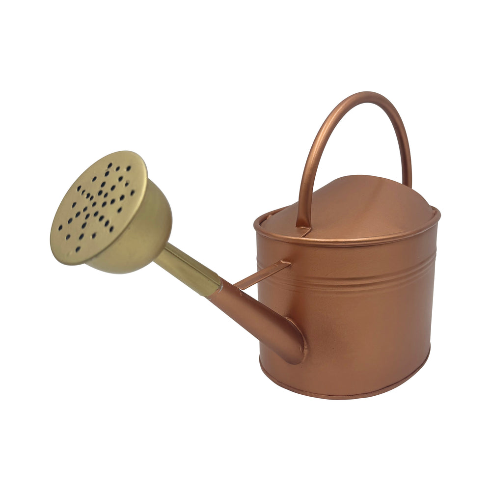 Watering Can Bronze Finish