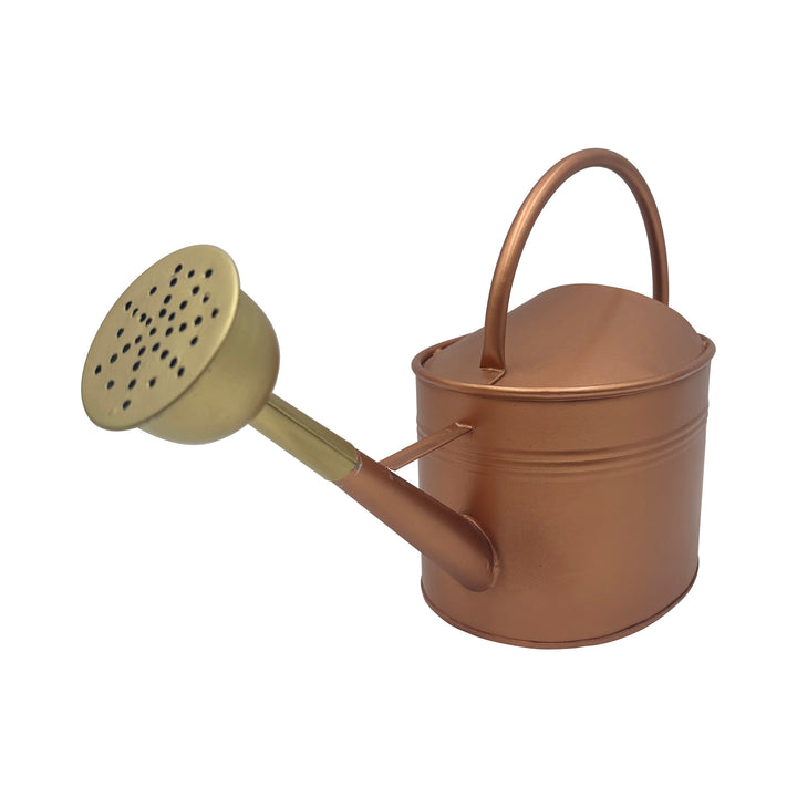 Watering Can Bronze Finish