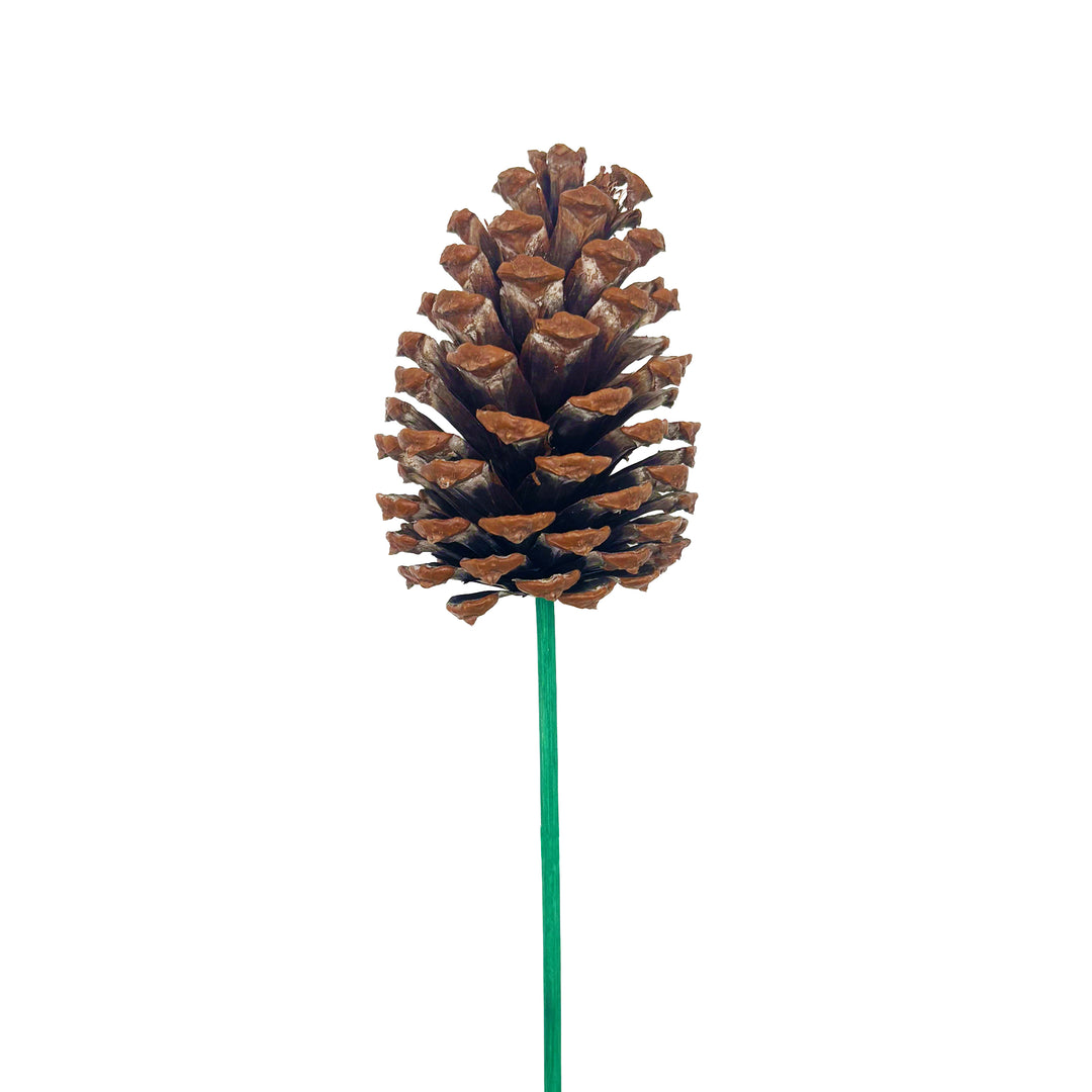 Natural Pinecone Pick