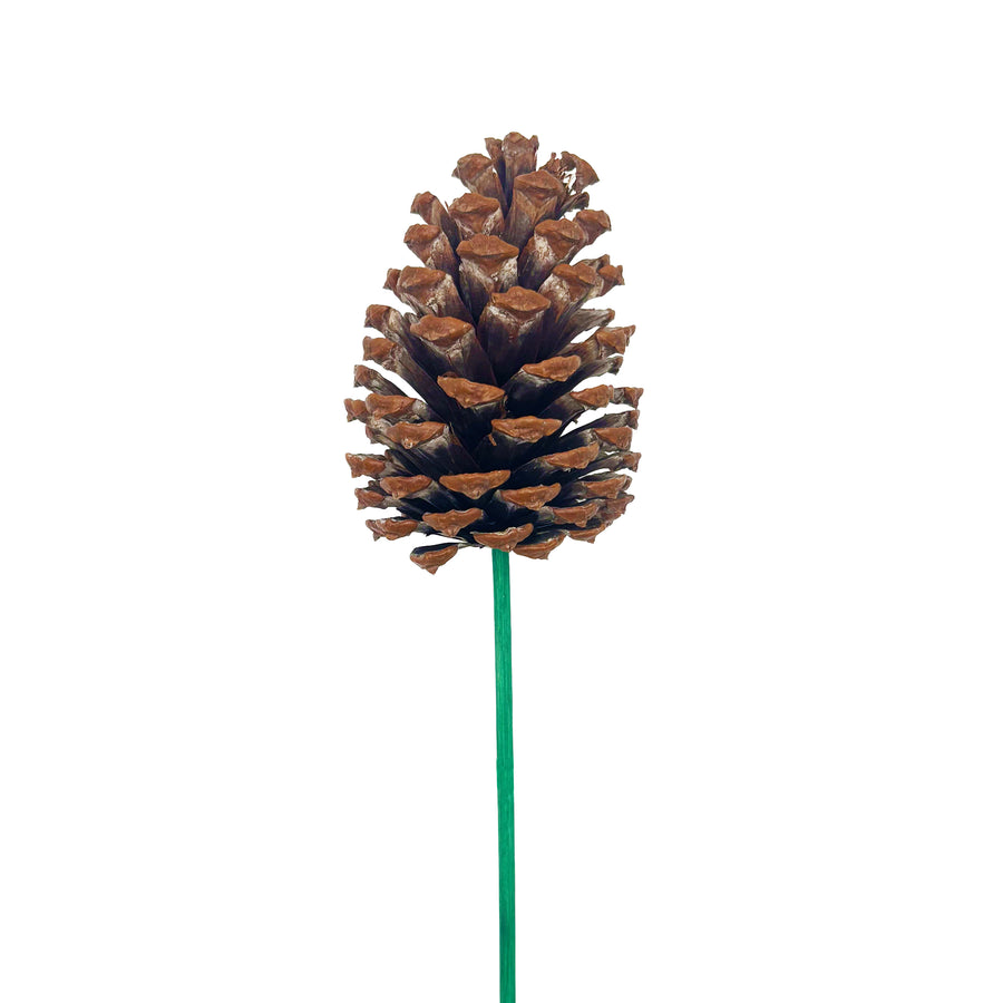 Natural Pinecone Pick