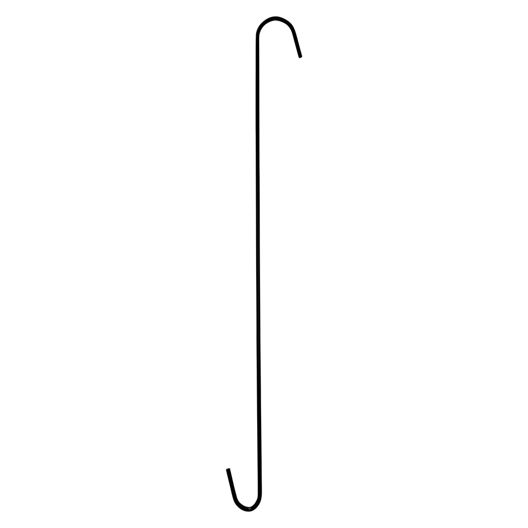 Black Metal S Hook 24 inches