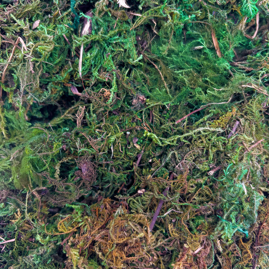 Green Moss Bag