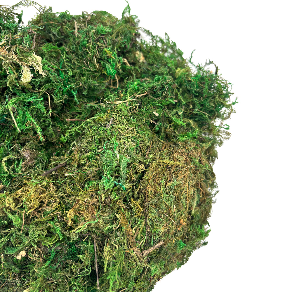 Green Moss Bag