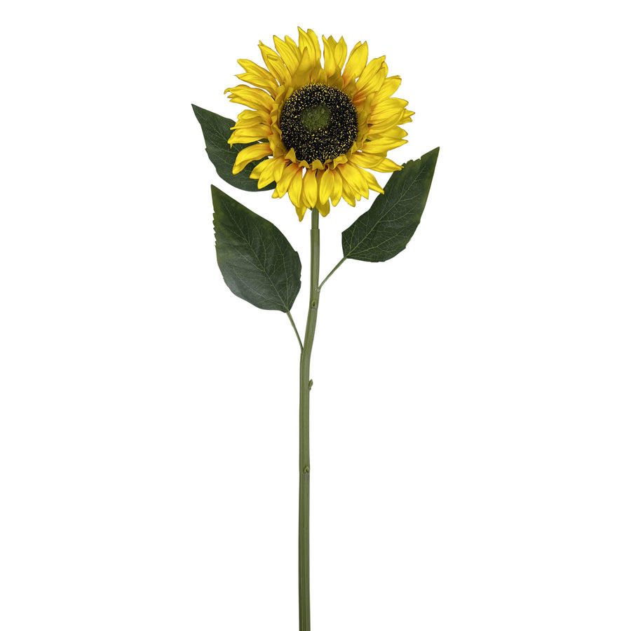 Sunflower Stem