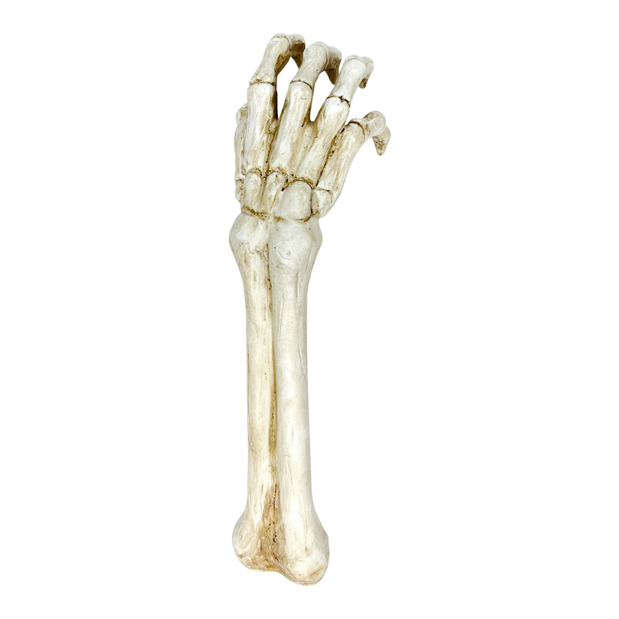 Skeleton Hand Yard Stake