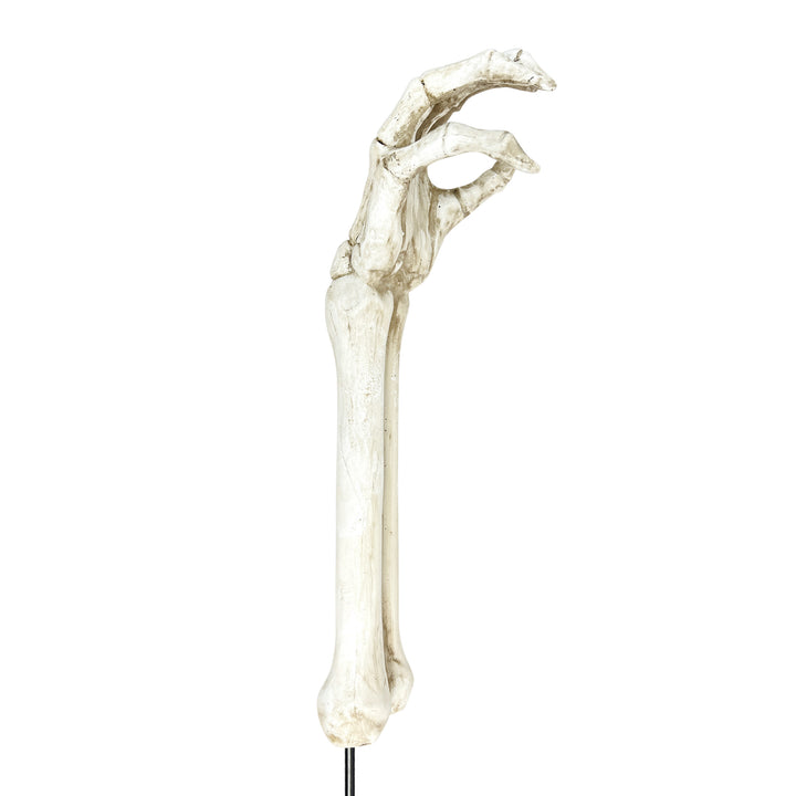 Skeleton Hand Yard Stake