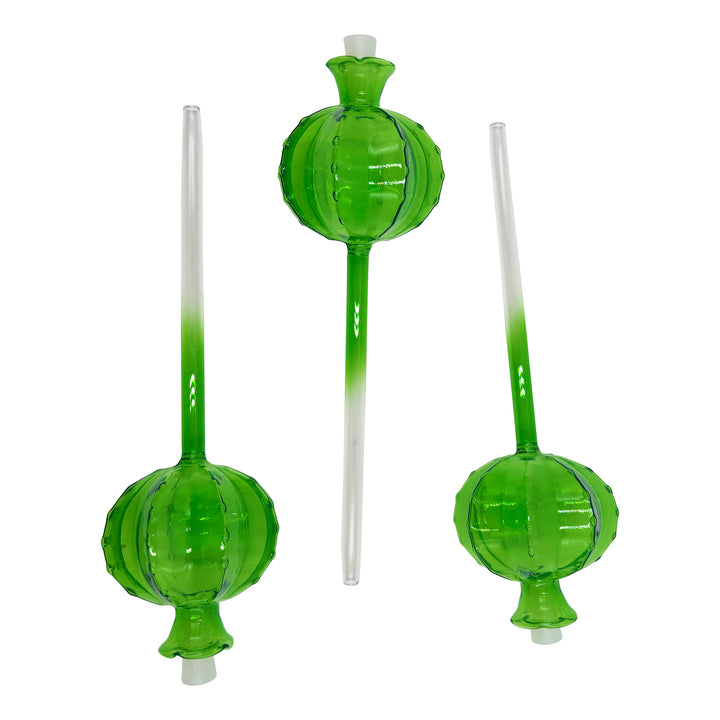 Glass Watering Globe Set