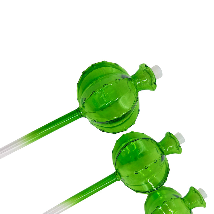 Glass Watering Globe Set
