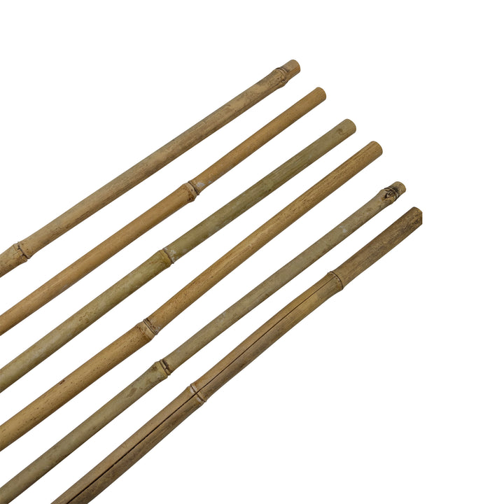 Bamboo Plant Stake Natural