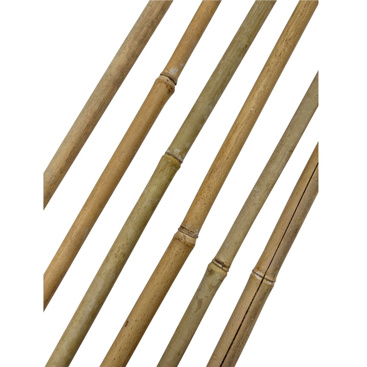 Bamboo Plant Stake
