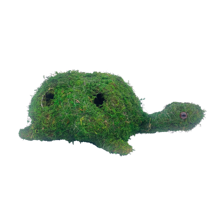 Green Moss Turtle Planter