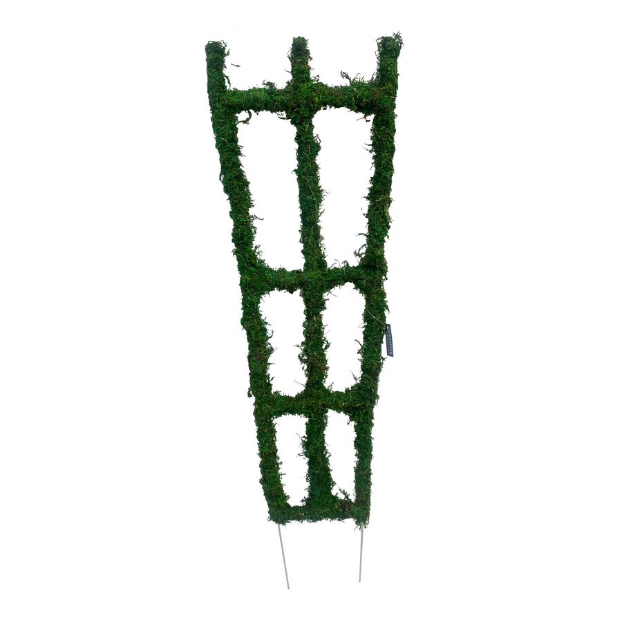 Green Moss Trellis