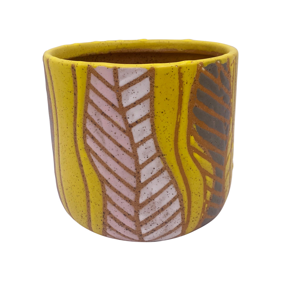 Funky Design Small Indoor Pot