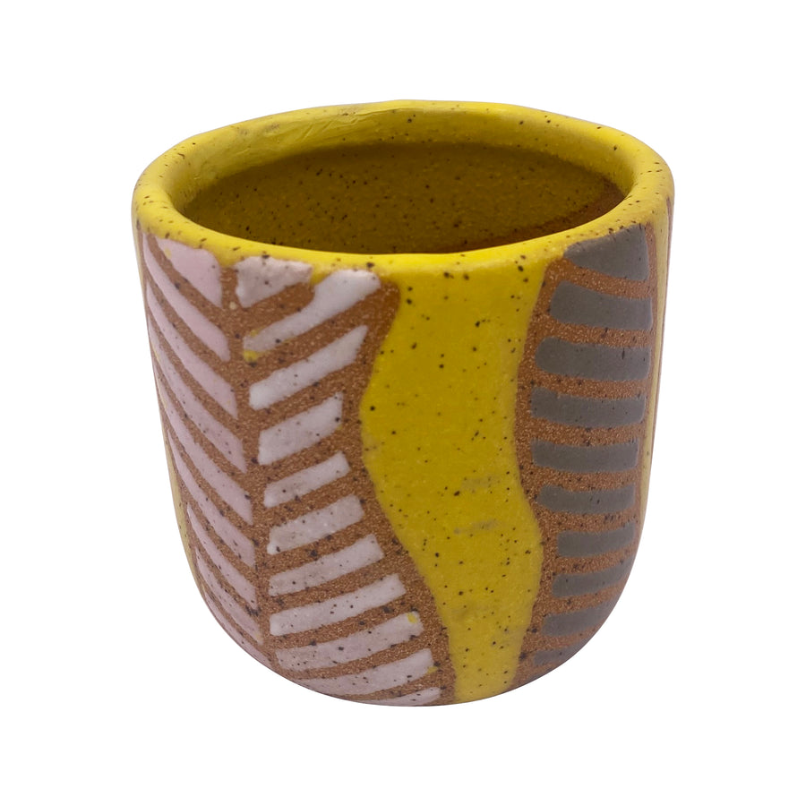 Funky Design Small Indoor Pot