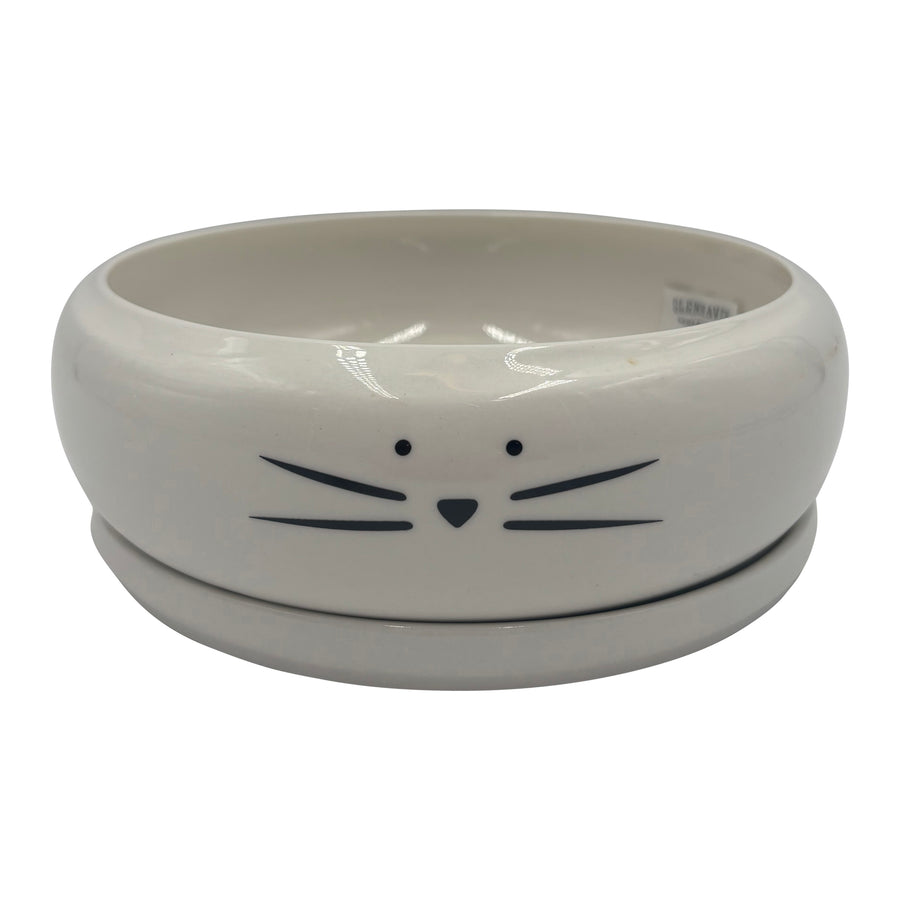 Cat Face Pot with Saucer