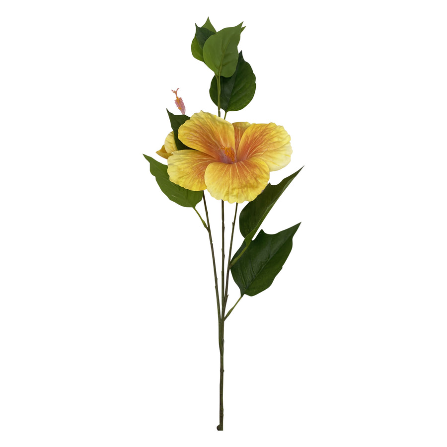Hibiscus Spray Yellow