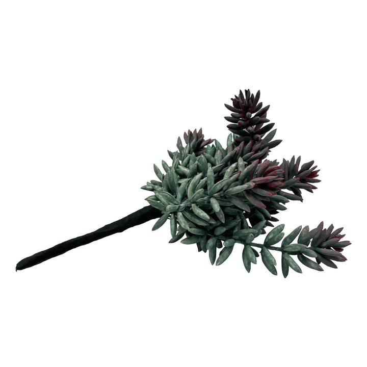 Succulent Stem