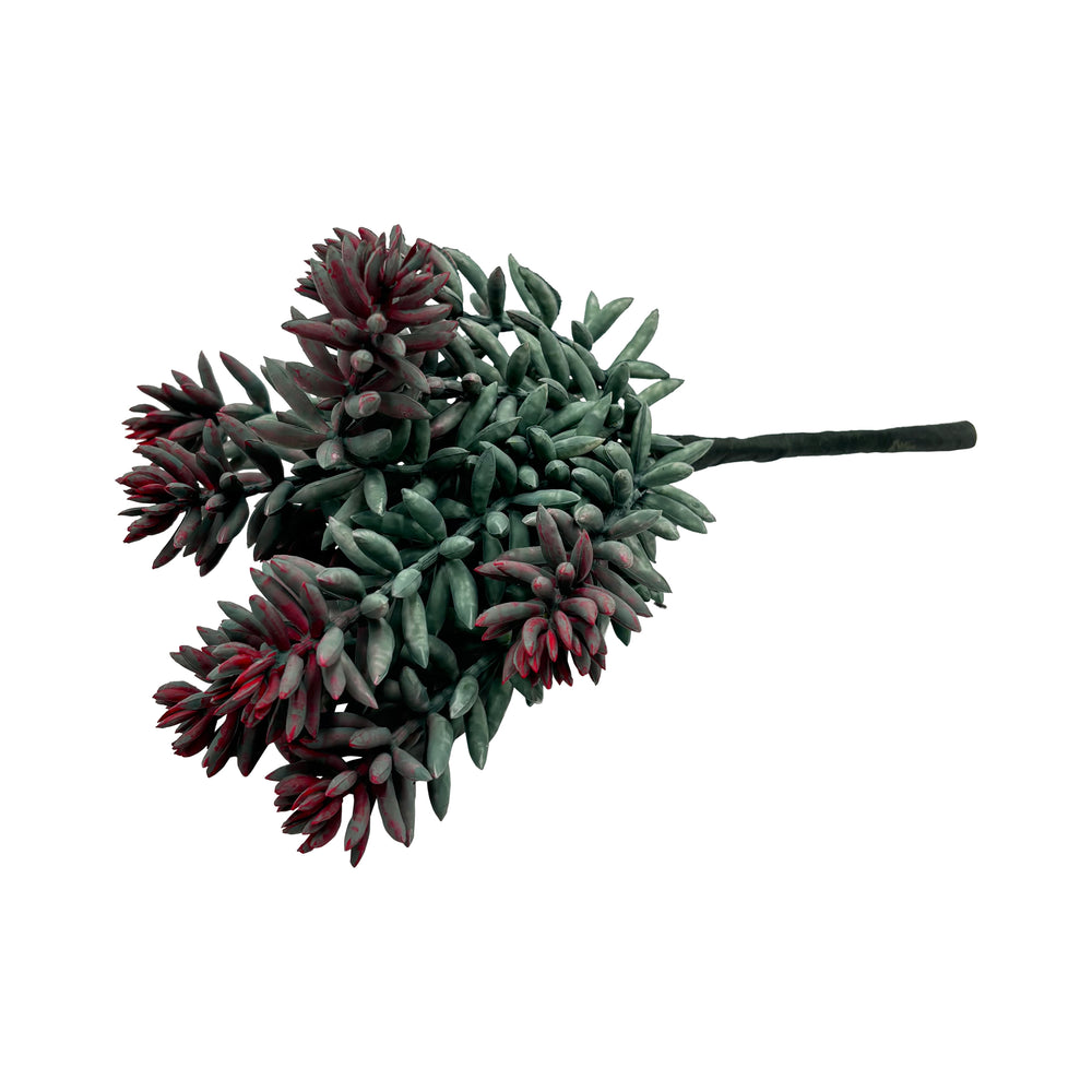 Succulent Stem