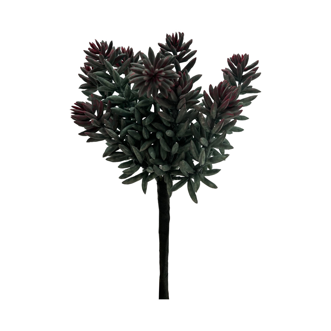 Succulent Stem 8 Inches