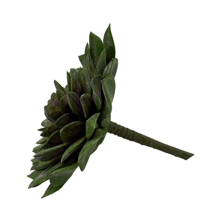 Succulent Stem 6 Inches