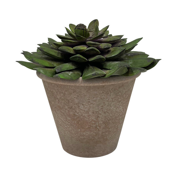 Artificial Potted Succulent