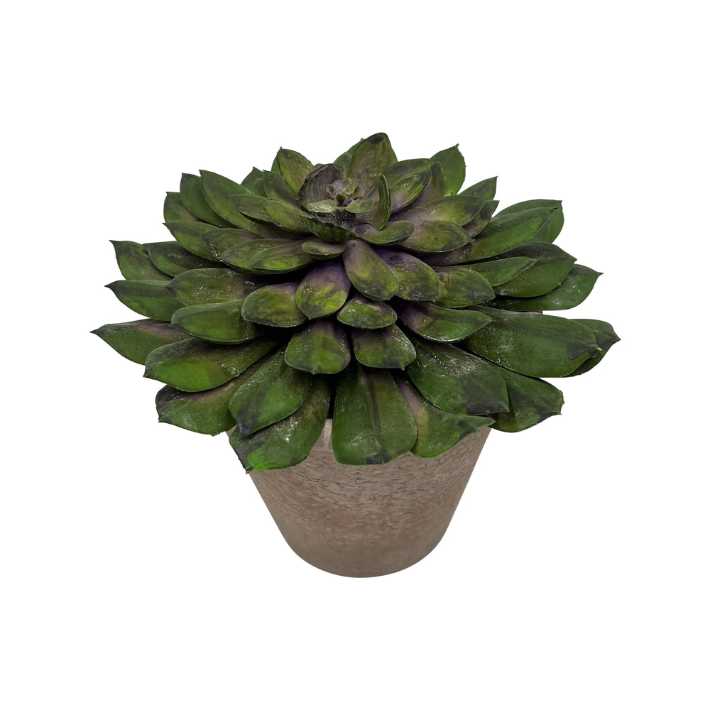 Artificial Potted Succulent