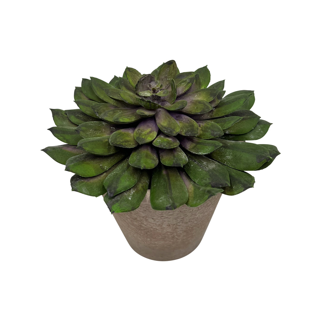 Artificial Potted Succulent
