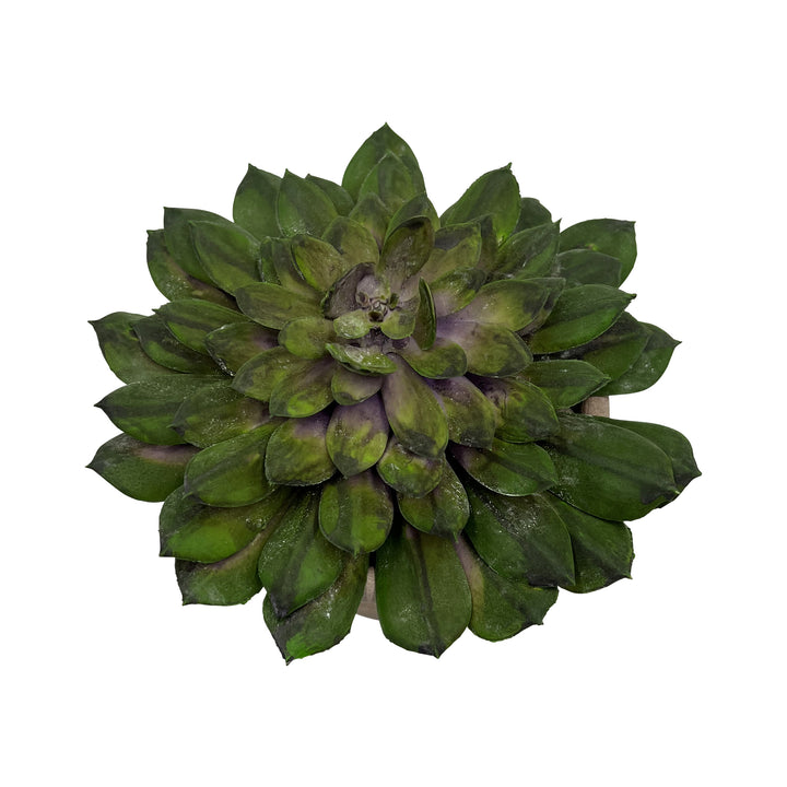 Artificial Potted Succulent