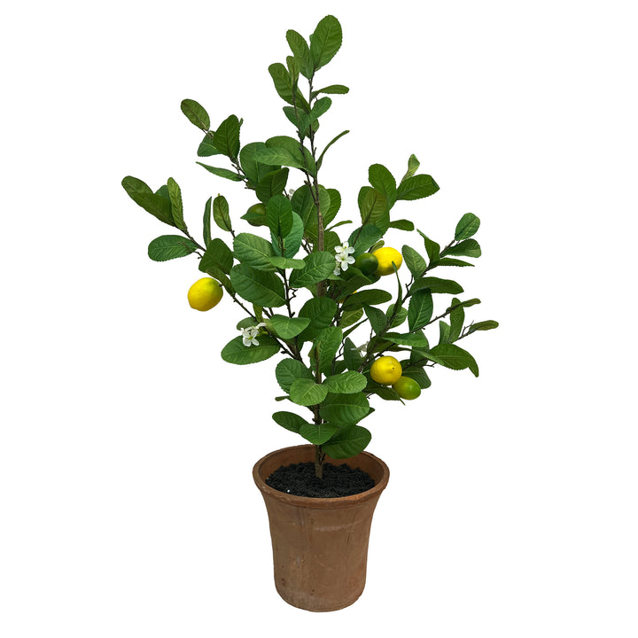 Potted Artificial Lemon Tree 31.5 Inches