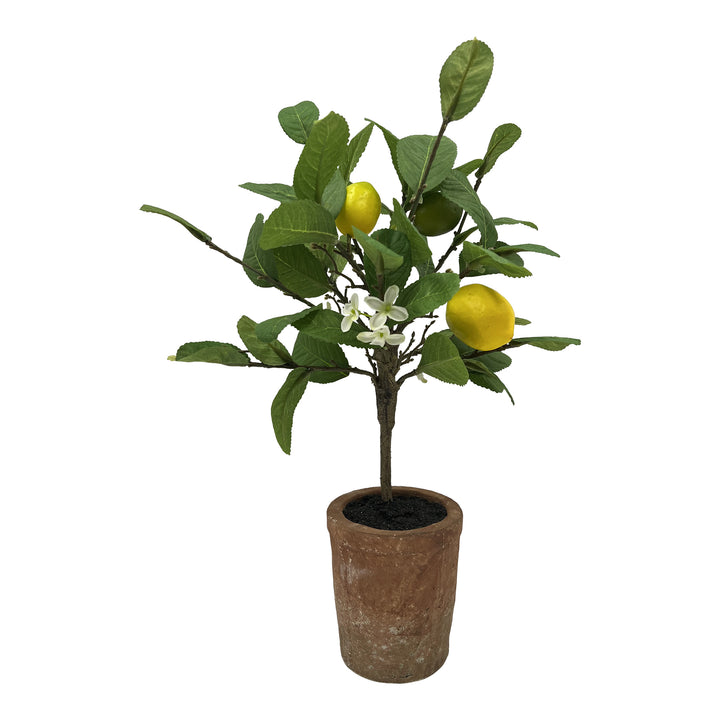 Potted Artificial Lemon Tree 17 Inches