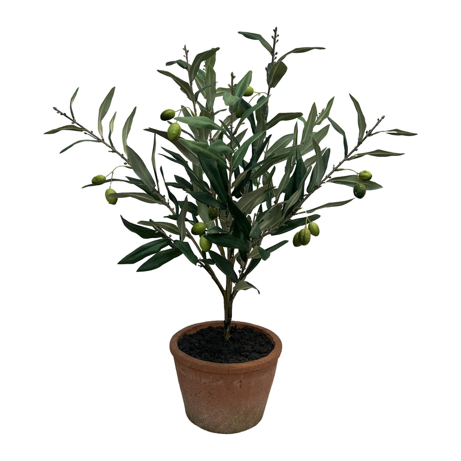 Potted Artificial Olive Tree