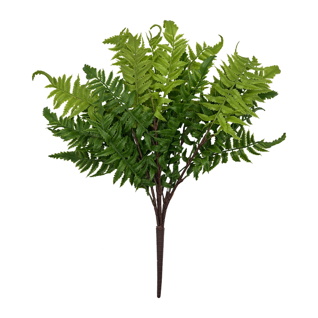 Soft Touch Boston Fern Bush