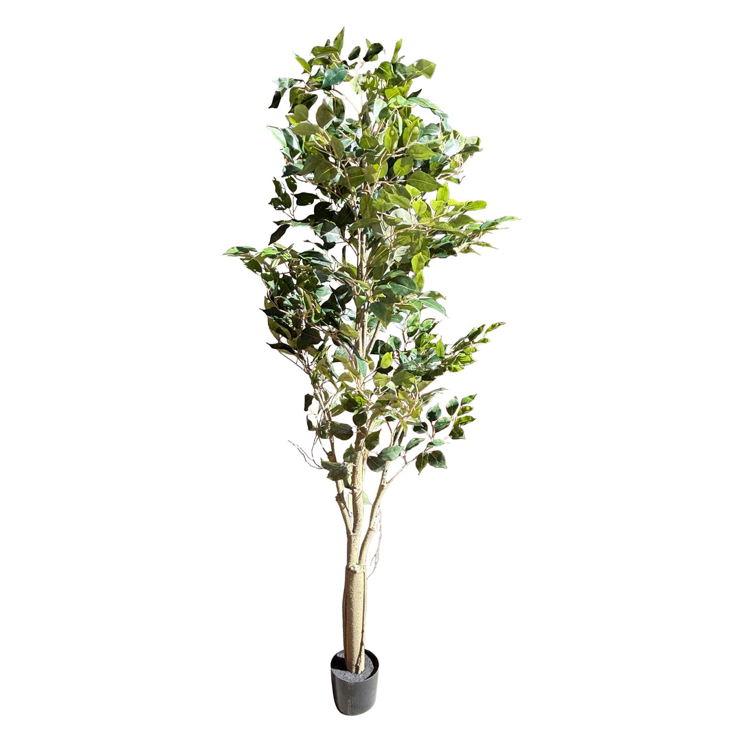 Faux Ficus Tree in Black Pot