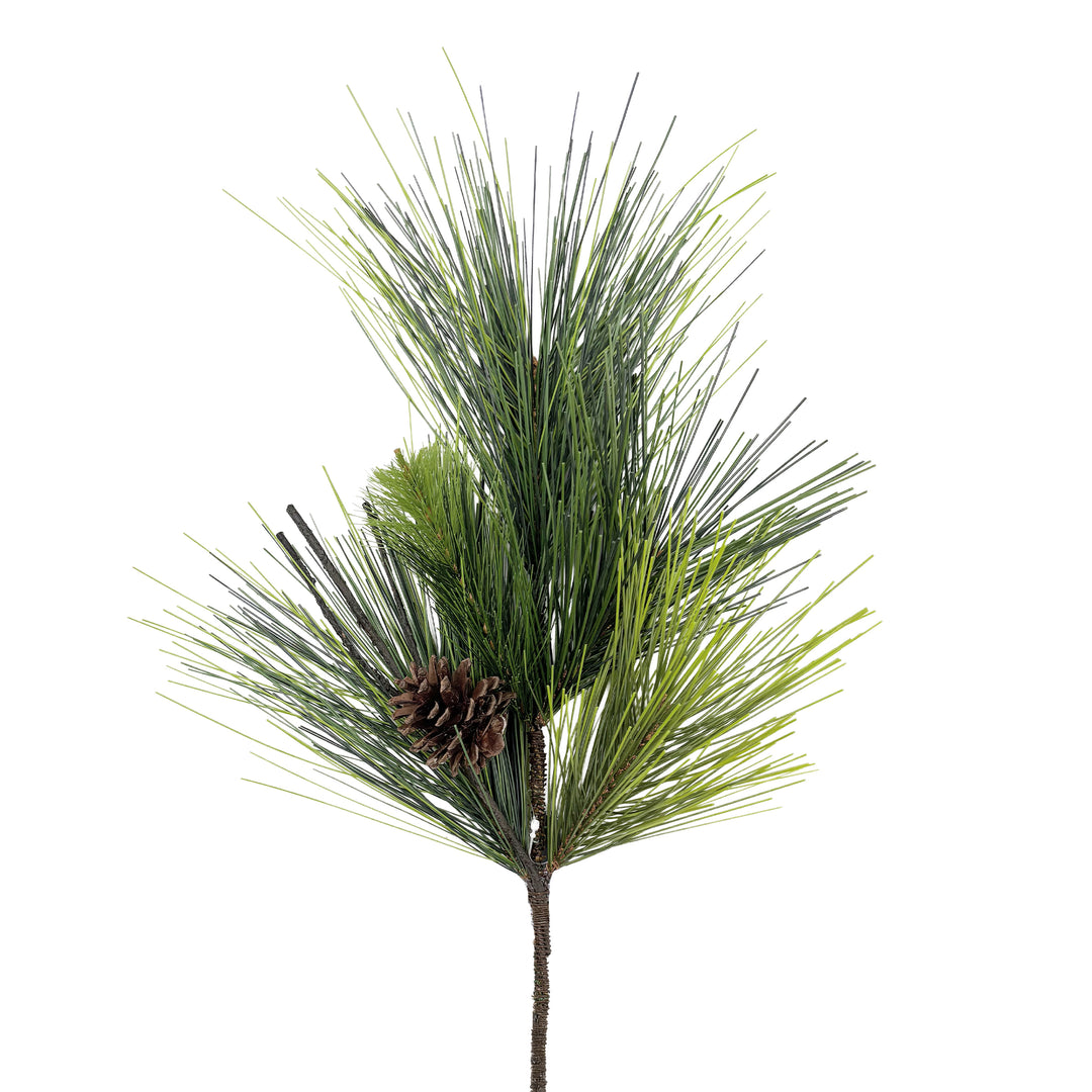Pinecone and Long Needle Pine Pick