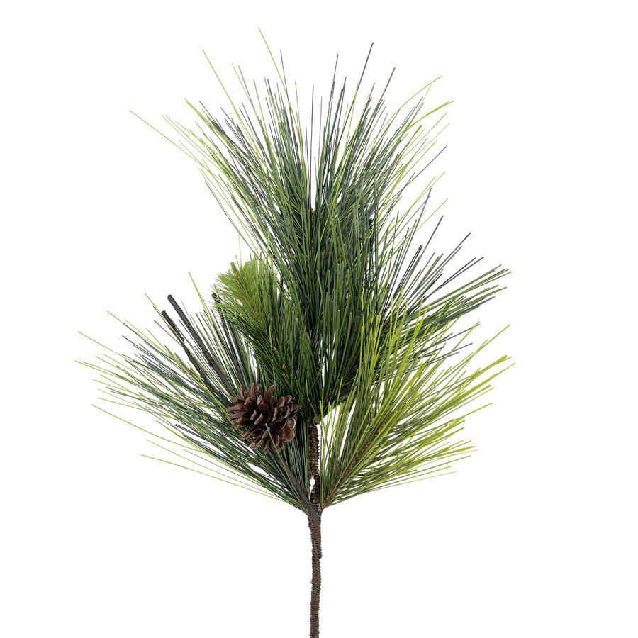 Pinecone and Long Needle Pine Pick