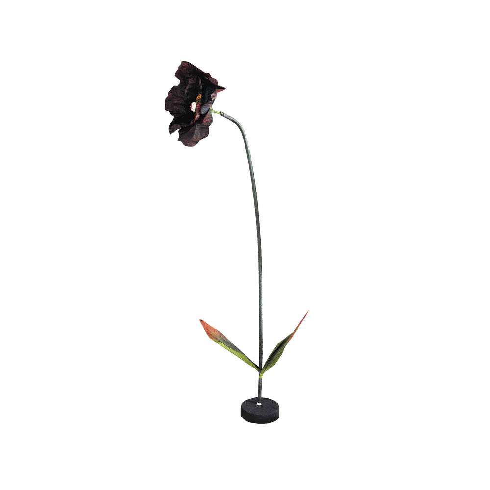 Potted Piranha Plant With Eye