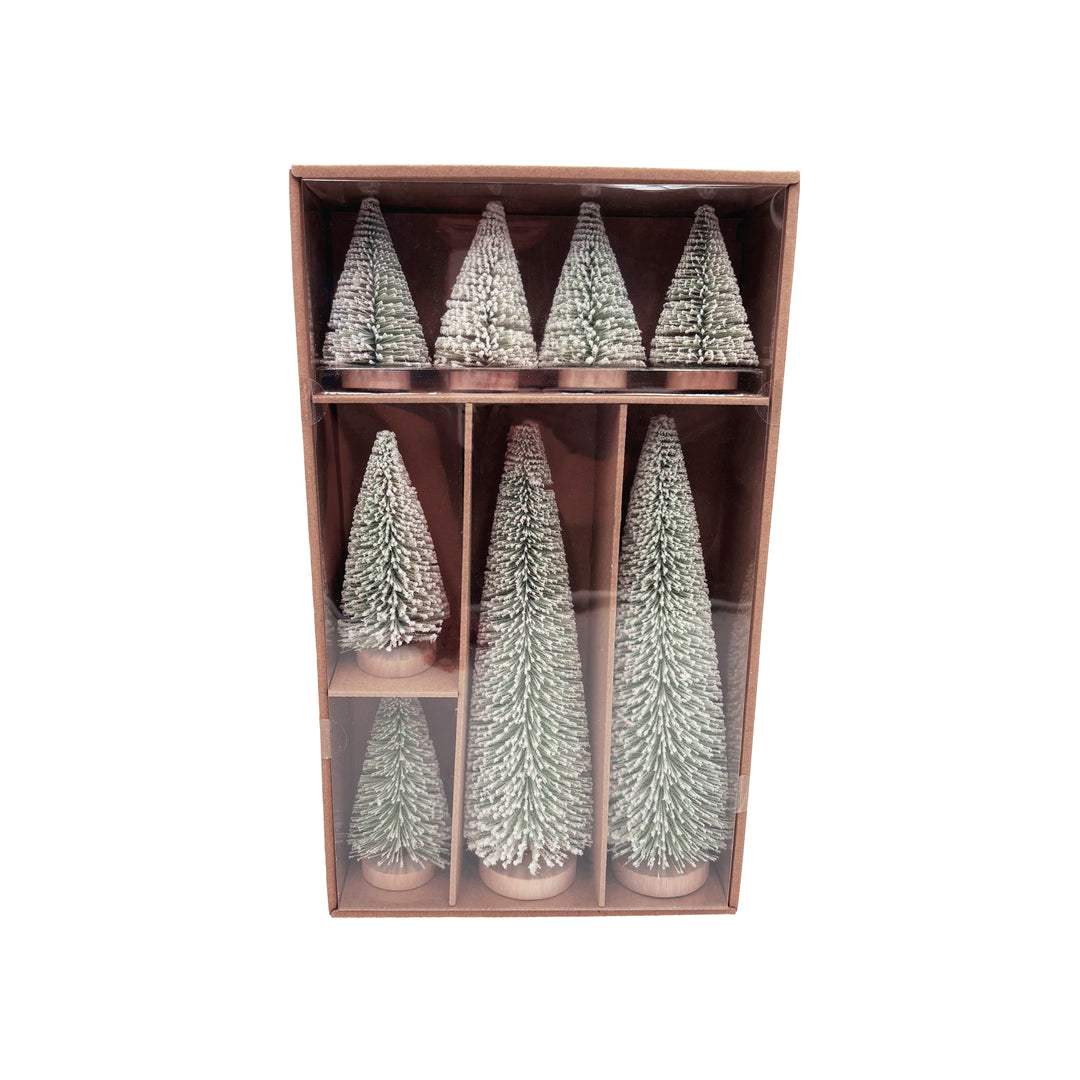 Box of 8 Green Bottlebrush Trees