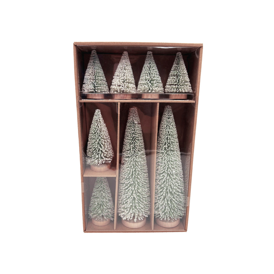 Box of 8 Green Bottlebrush Trees