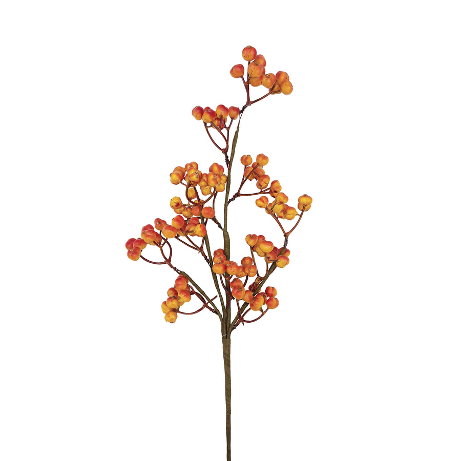 Orange Berry Spray