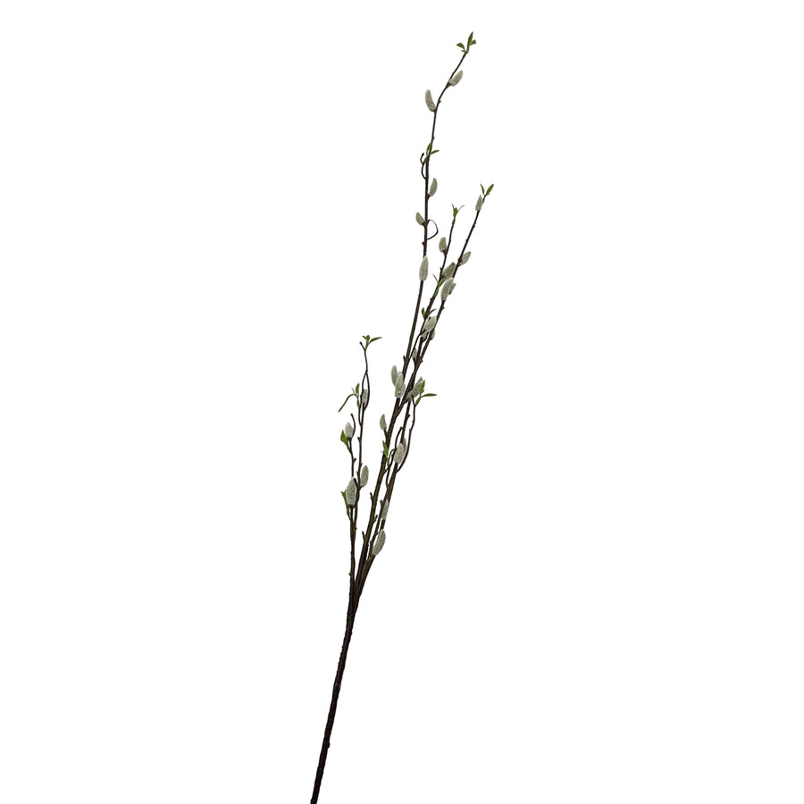 Pussy Willow Stem