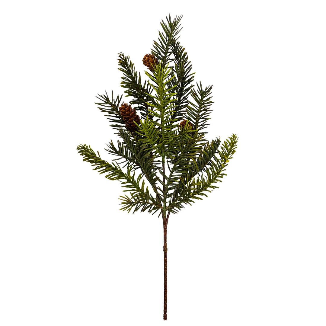 Medium Balsam Fir Pick