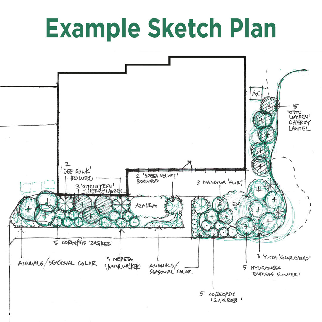 In-Store Professional Garden Consultation