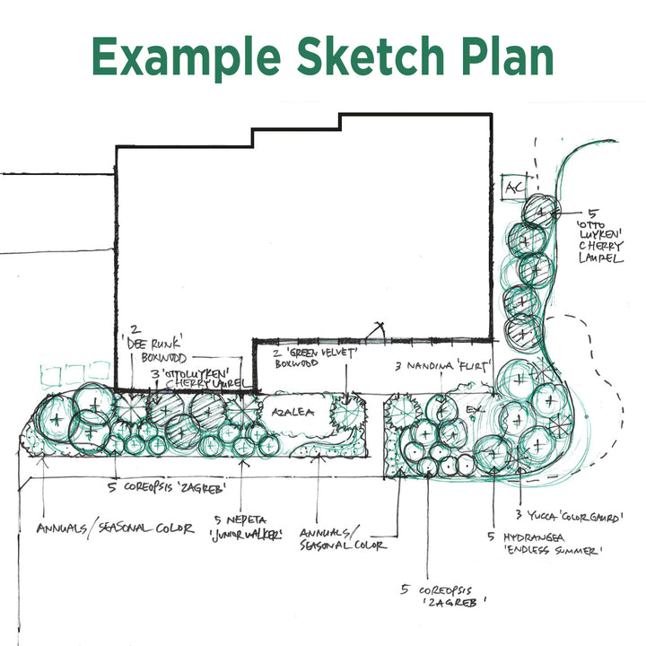 In-Store Professional Garden Consultation
