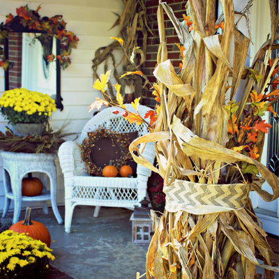 Cornstalk Bundle