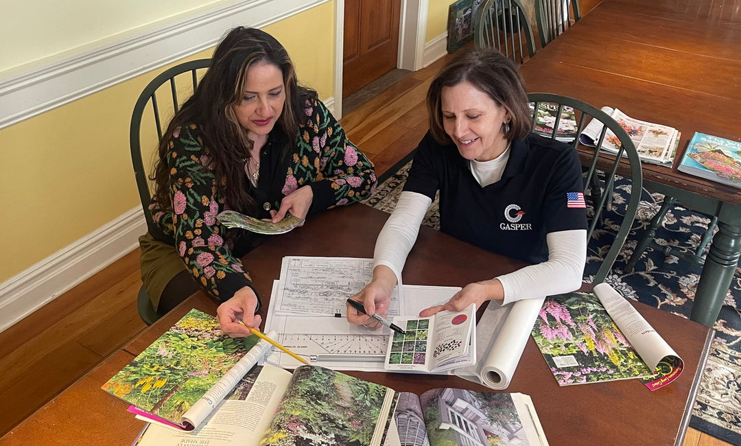 A consultant and client discussing landscape design options